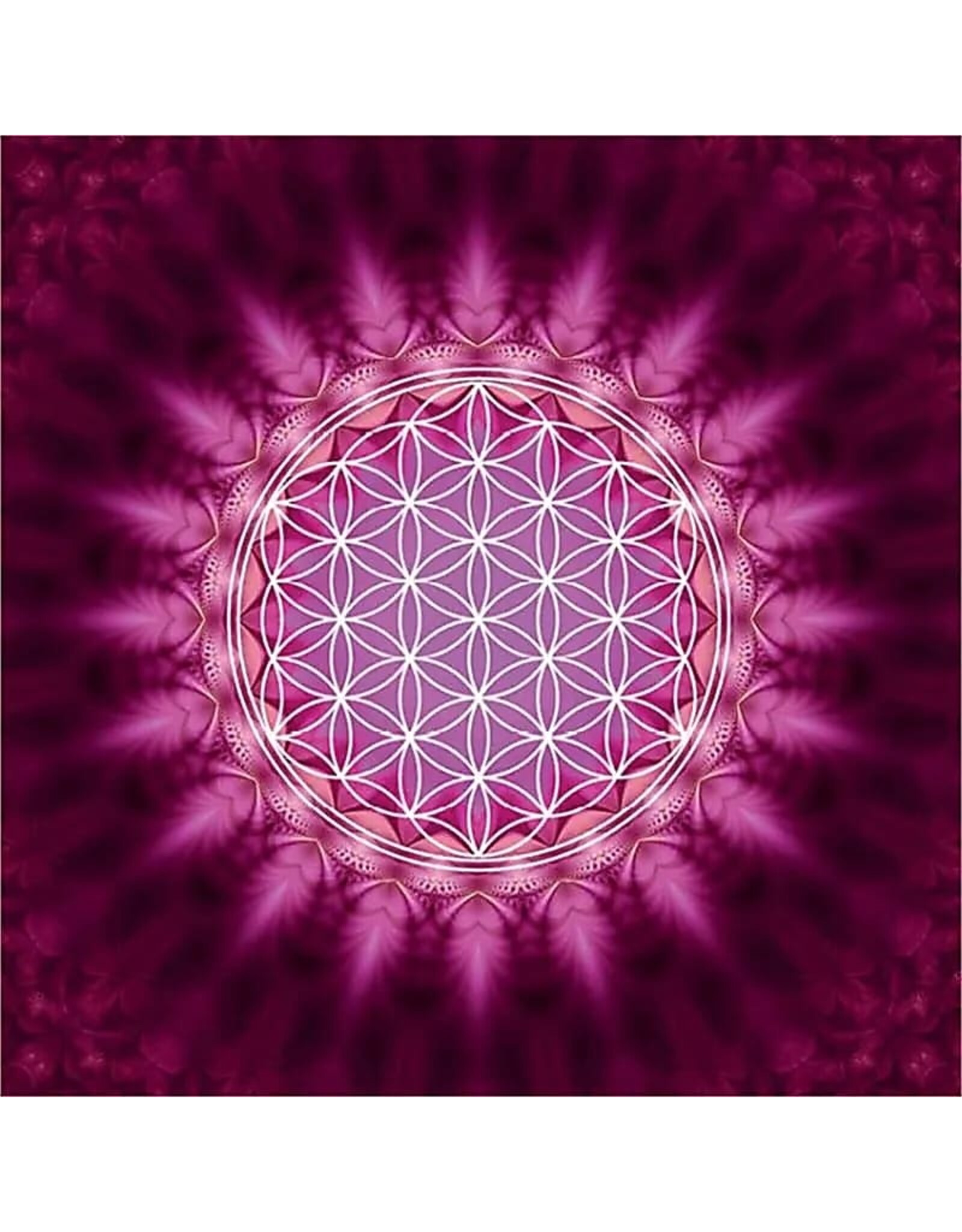 Zintenz Wenskaart flower of life