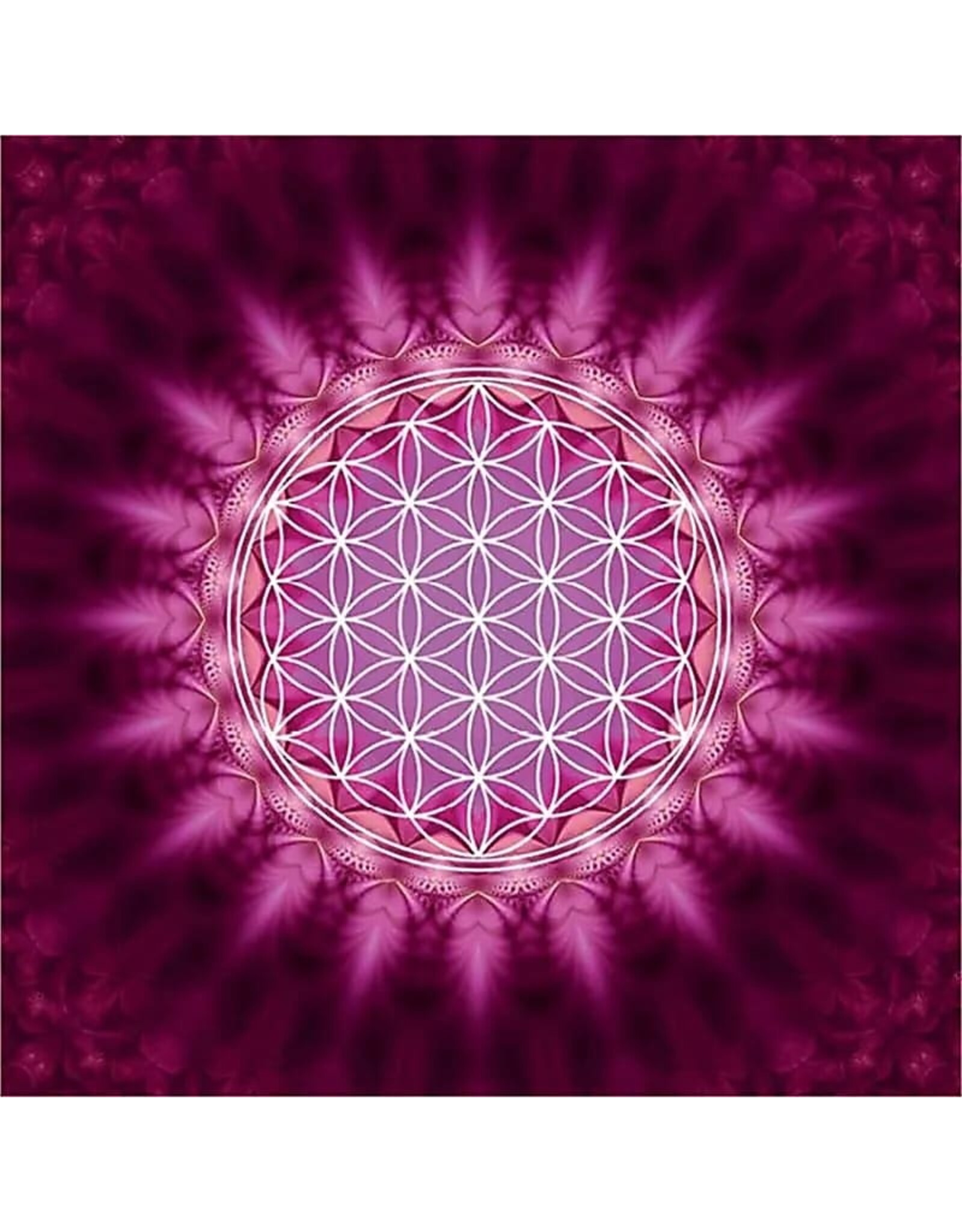 Zintenz Wenskaart flower of life