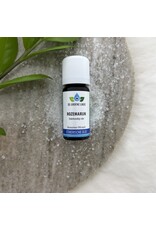 De Groene Linde Rozemarijn etherische olie 10 ml De Groene Linde Rozemarijn etherische olie 10 ml