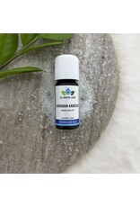 De Groene Linde Lavendin Ardèche etherische olie 10 ml