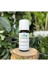 De Groene Linde Rozemarijn etherische olie 10 ml De Groene Linde Rozemarijn etherische olie 10 ml