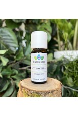 De Groene Linde Citronella etherische olie 10 ml De Groene Linde Citronella etherische olie 10 ml