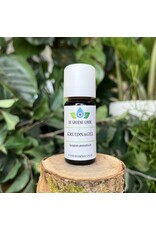 De Groene Linde Kruidnagel etherische olie 10 ml