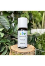 De Groene Linde Venkel etherische olie 10 ml