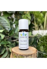 De Groene Linde Tea tree etherische olie 10 ml