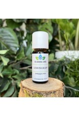 De Groene Linde Lemongrass etherische olie 10 ml