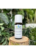 De Groene Linde Eucalyptus Globulus etherische olie 10 ml