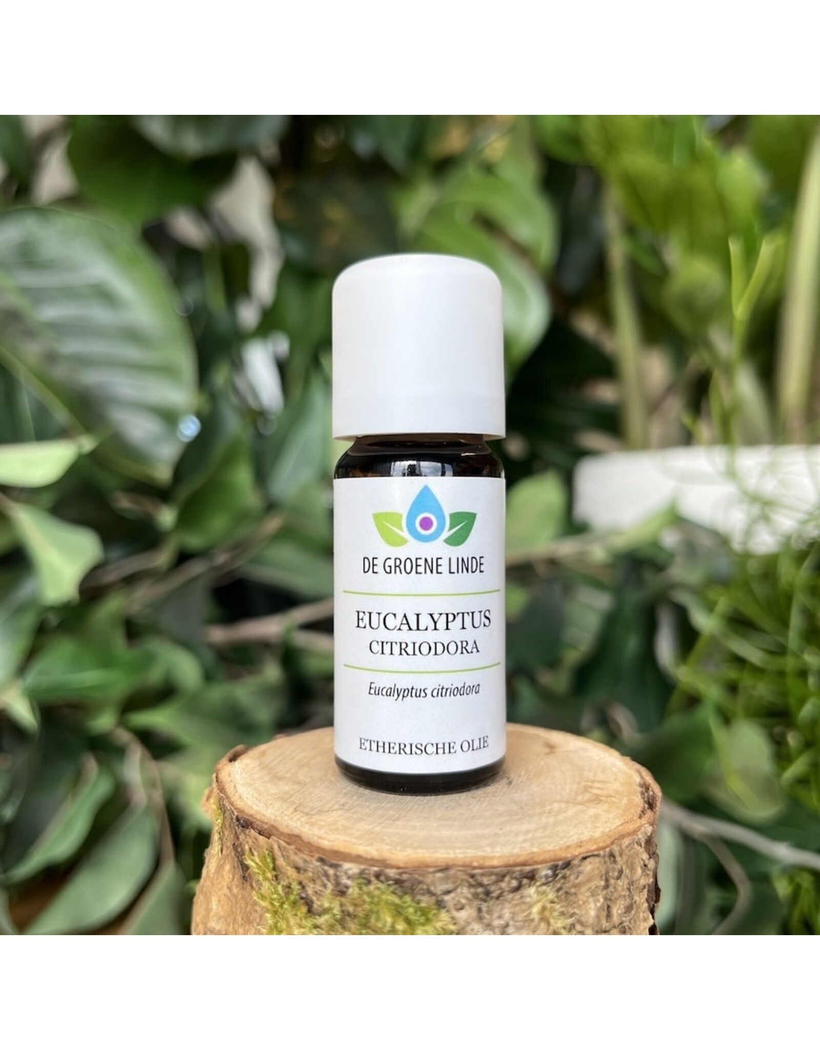 De Groene Linde Eucalyptus citrodora etherische olie 10 ml