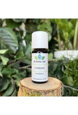 De Groene Linde Citroen etherische olie 10 ml