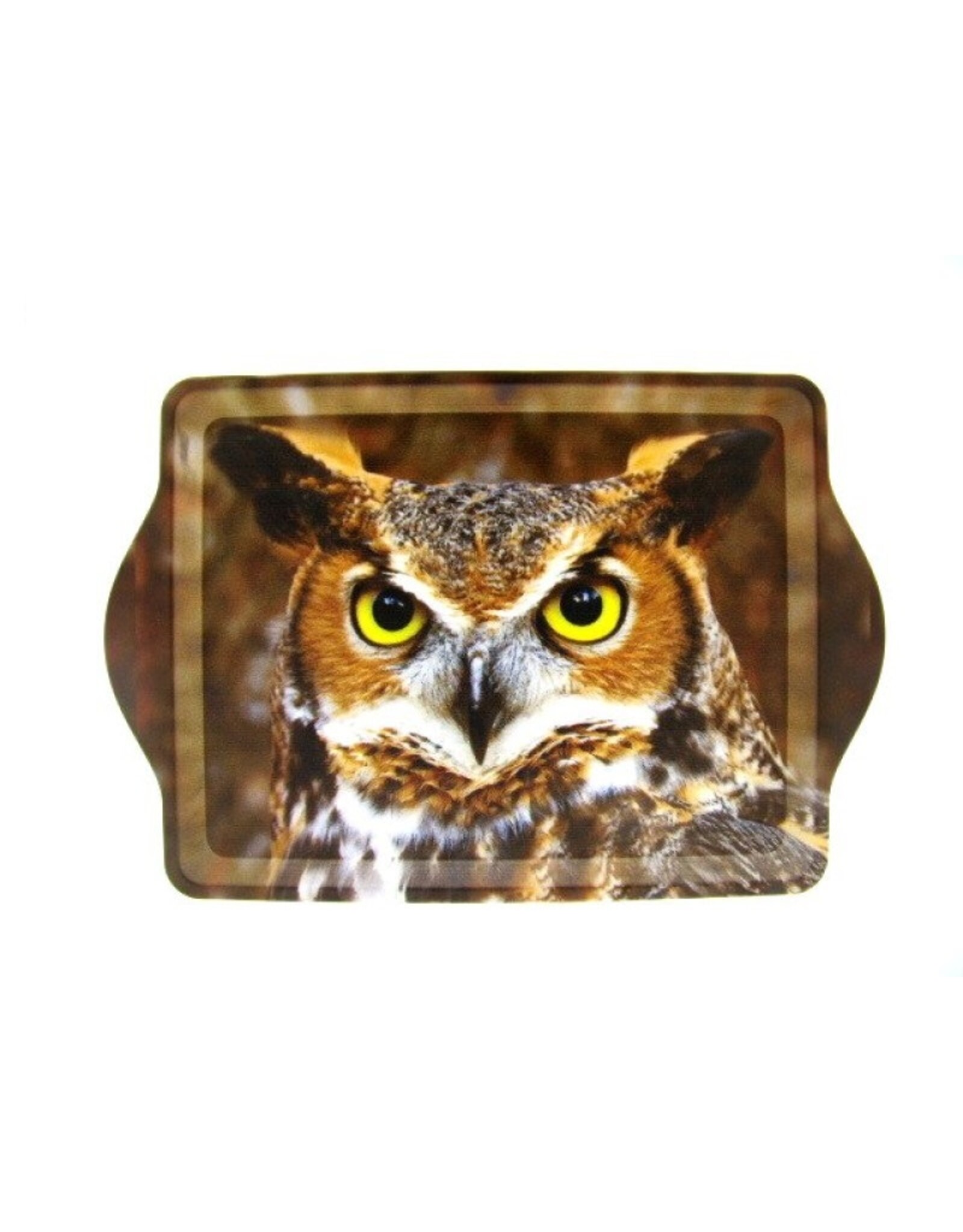 Dienblad klein oehoe uil