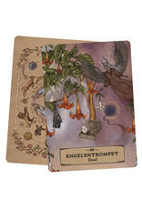 Het kruiden astrologie orakel kaarten set