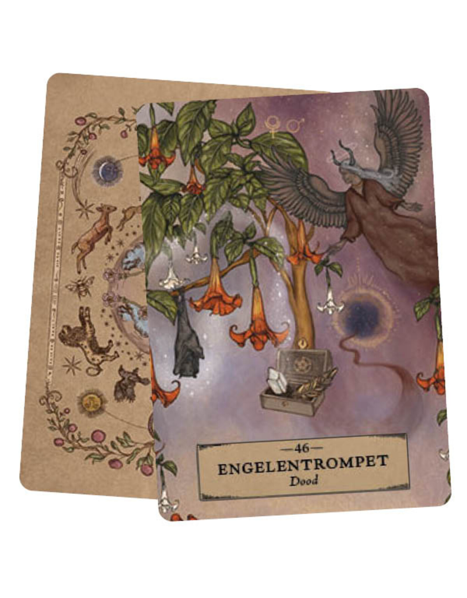 Het kruiden astrologie orakel kaarten set