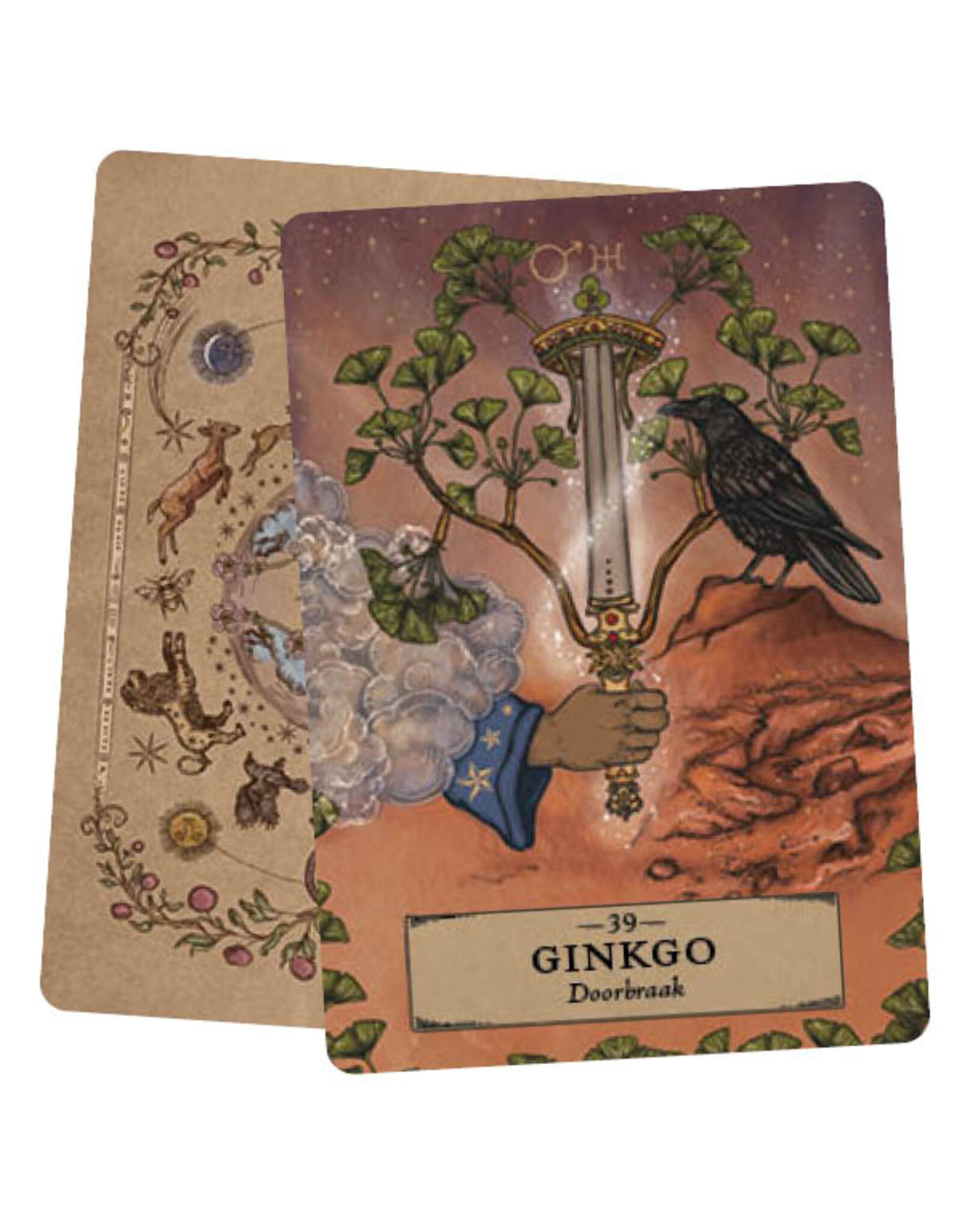 Het kruiden astrologie orakel kaarten set