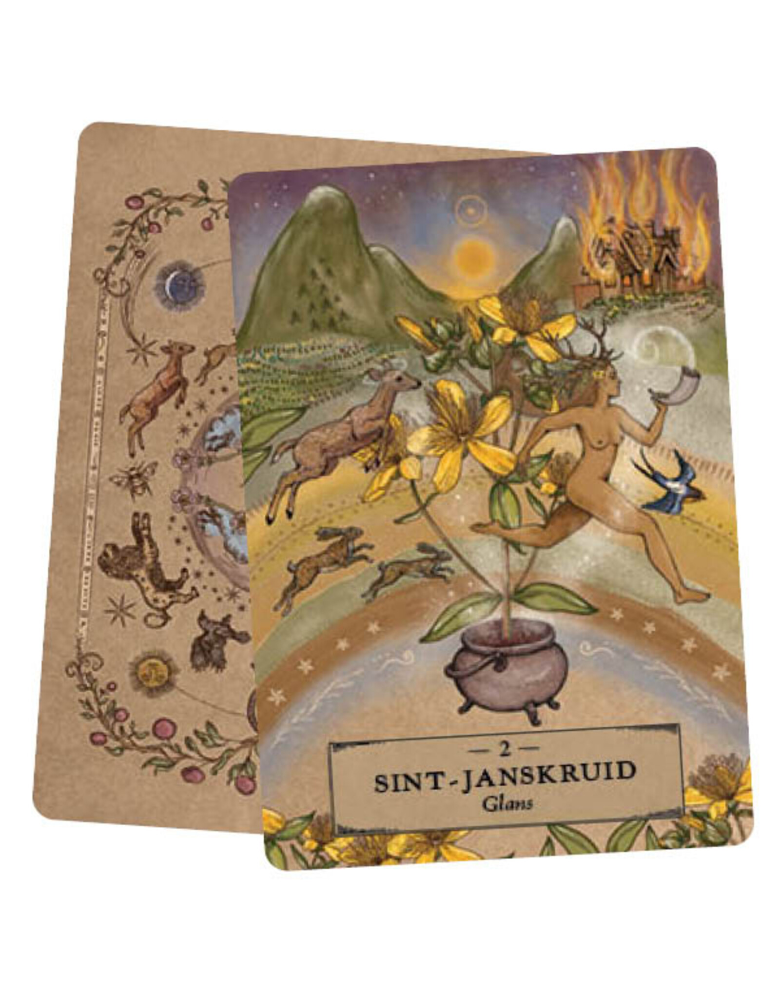 Het kruiden astrologie orakel kaarten set