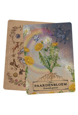 Het kruiden astrologie orakel kaarten set