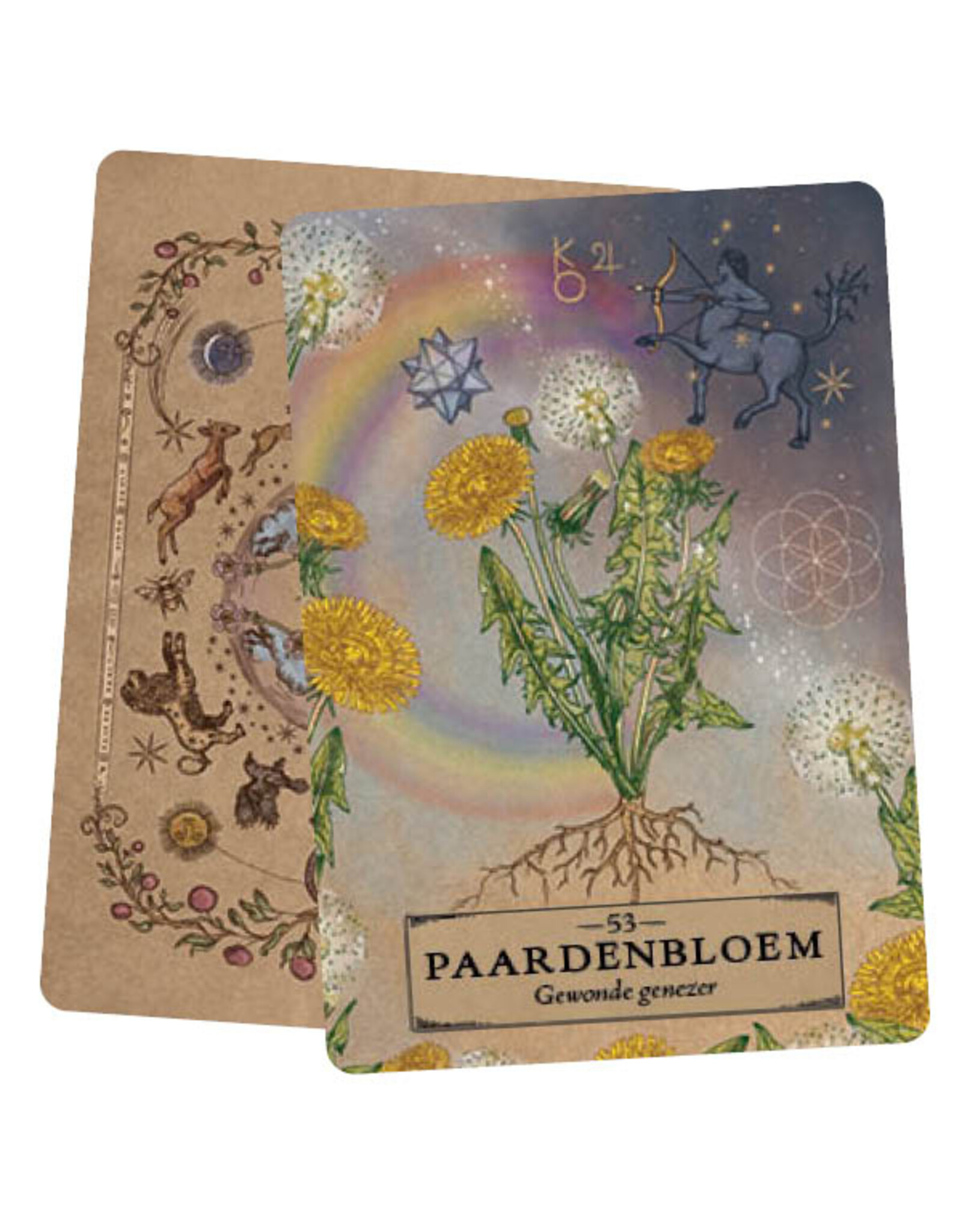 Het kruiden astrologie orakel kaarten set