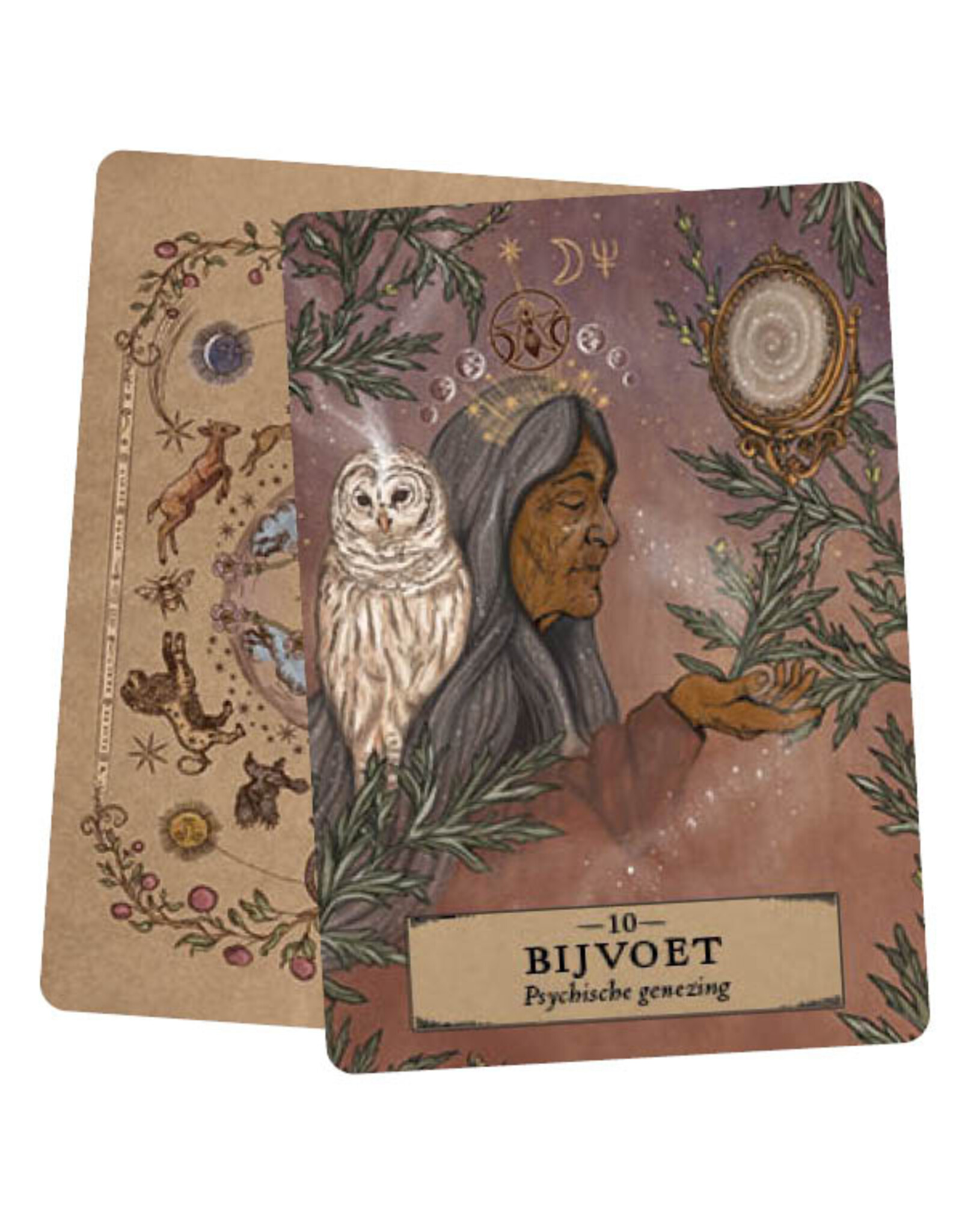 Het kruiden astrologie orakel kaarten set