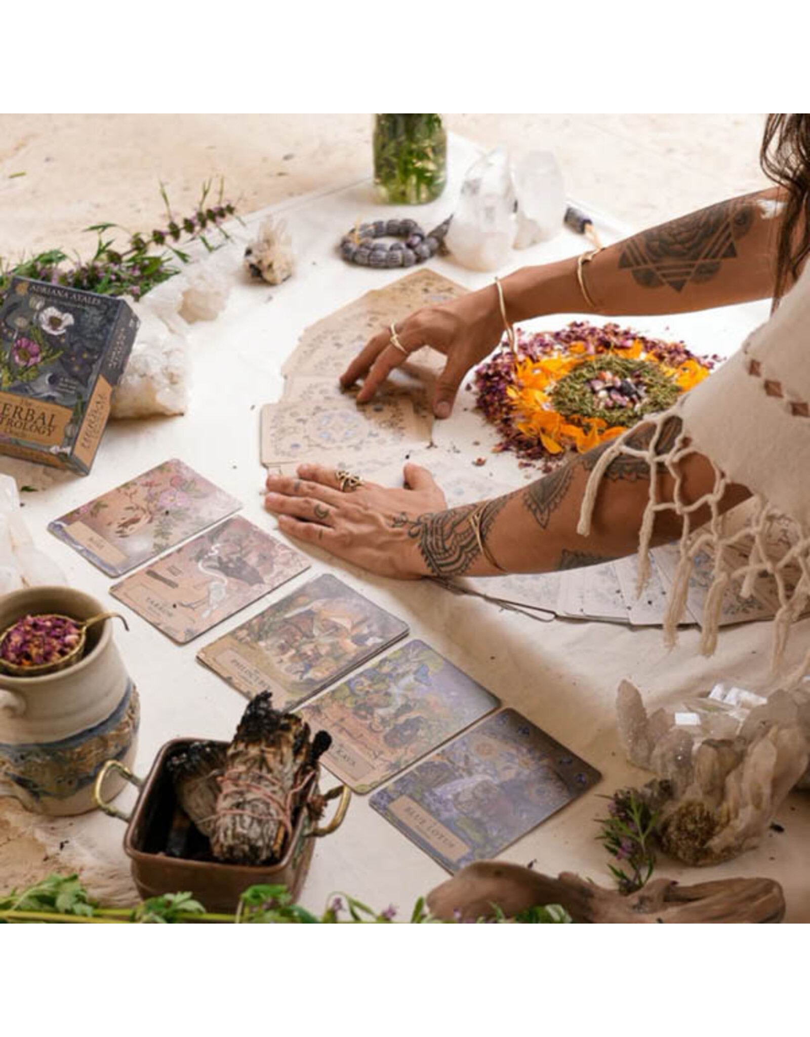 Het kruiden astrologie orakel kaarten set