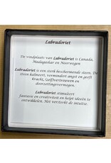 Labradoriet armband heren  8mm