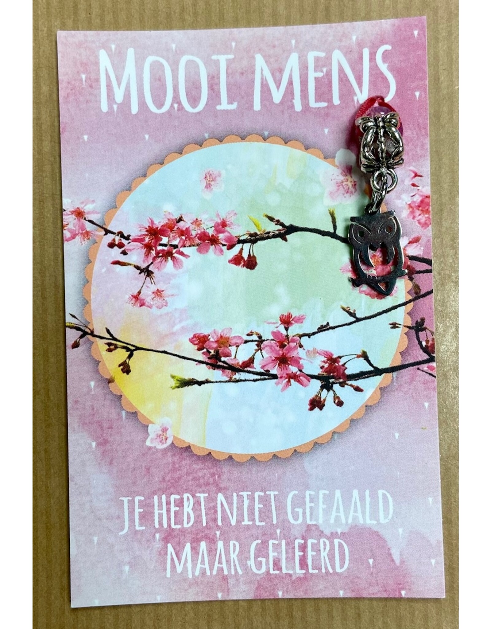 Mooi mens kaarten Mooi mens niet gefaald maar geleerd