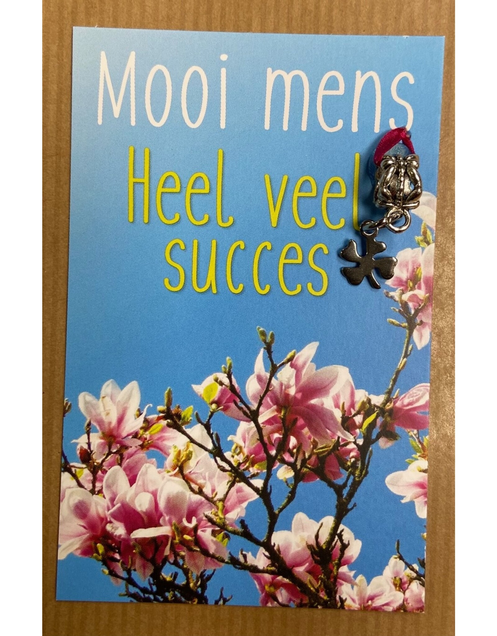 Mooi mens kaarten Mooi mens heel veel succes