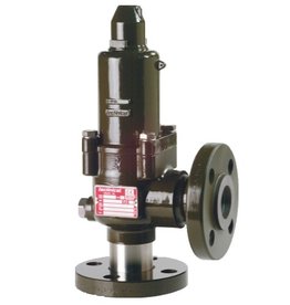 Safety Valves 10000 Series