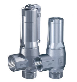 Pressure Safety Valve 460 Series