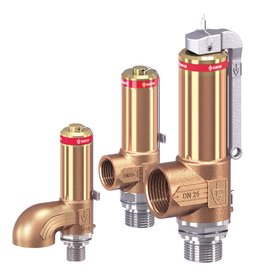 Pressure Safety Valve 2480 Series