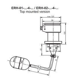 Aplisens - High quality process instrumentation Level Switch Type ERH - vertical mounted