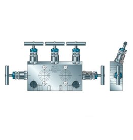 Simmer 5-Way Manifold series BM5V