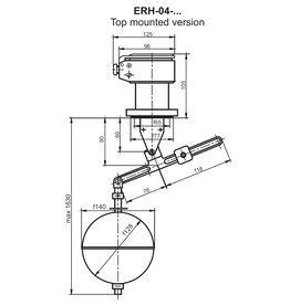 Aplisens - High quality process instrumentation Level Switch Type ERH, Top Mounted version