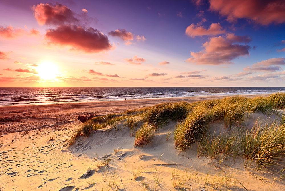 Summer holidays closed | July 19 to August 4, 2025