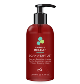 Dadi Soak-A-Lyptus 250ml