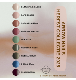 Arrow Nails AN Gel Polish 8g Herfst Collectie 2025