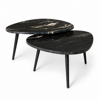Organisch salontafel set - Belvédère