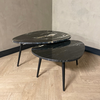 Organisch salontafel set - Belvédère