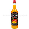 Piroska Mango siroop Light