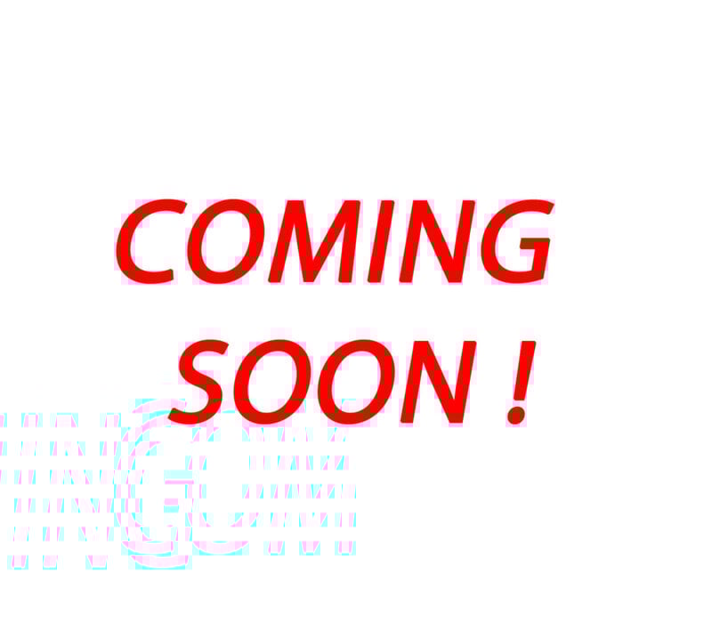 Gebruikte Eduard Plateauwagen 310x160cm 2700kg