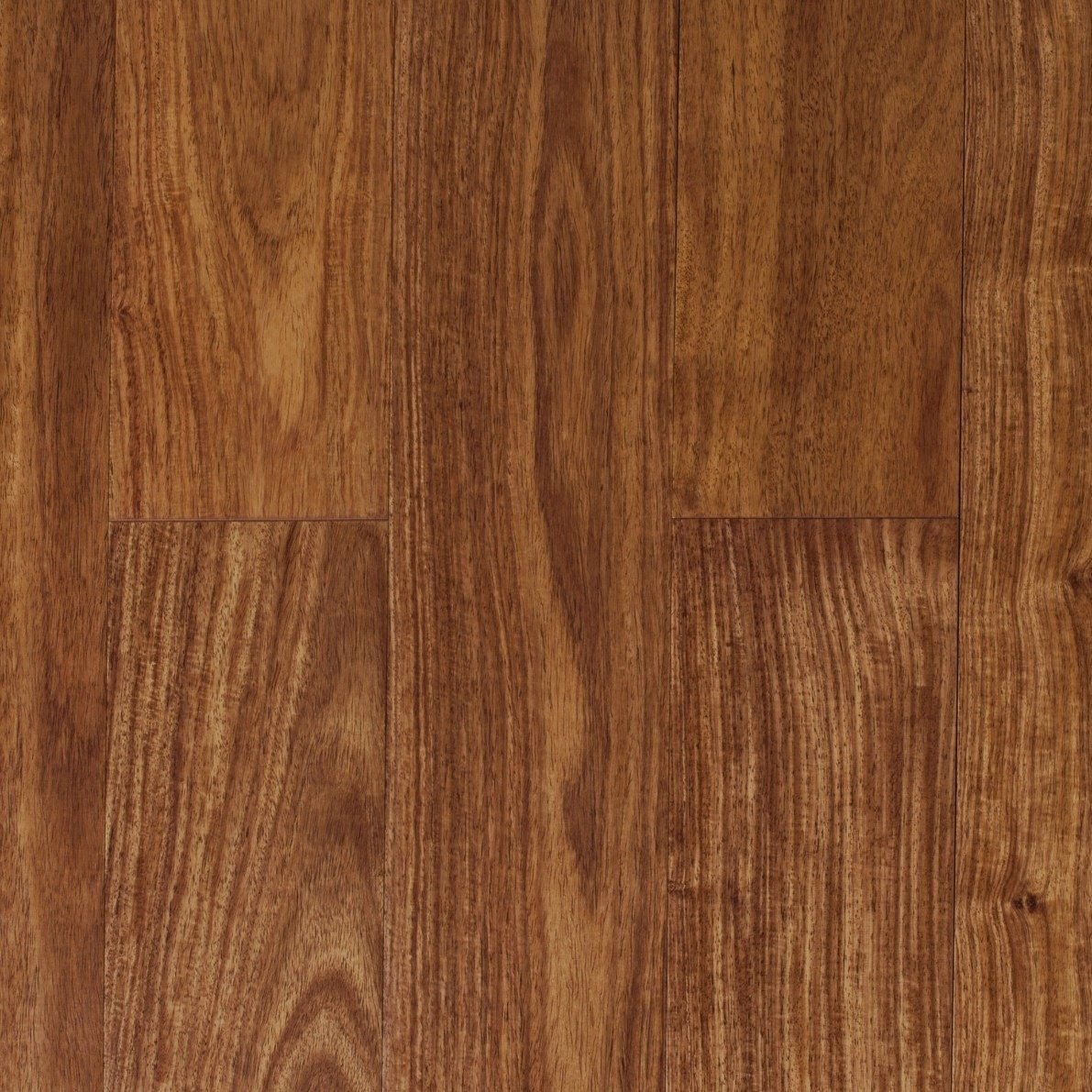 Wenge texture wood sample