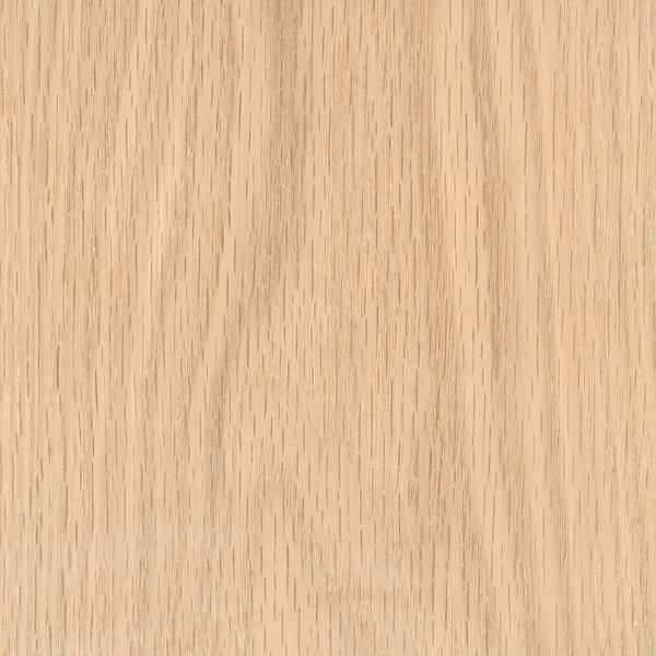 Explore Our Types Of Wood WoodWatch Explore Our Types Of Wood WoodWatch
