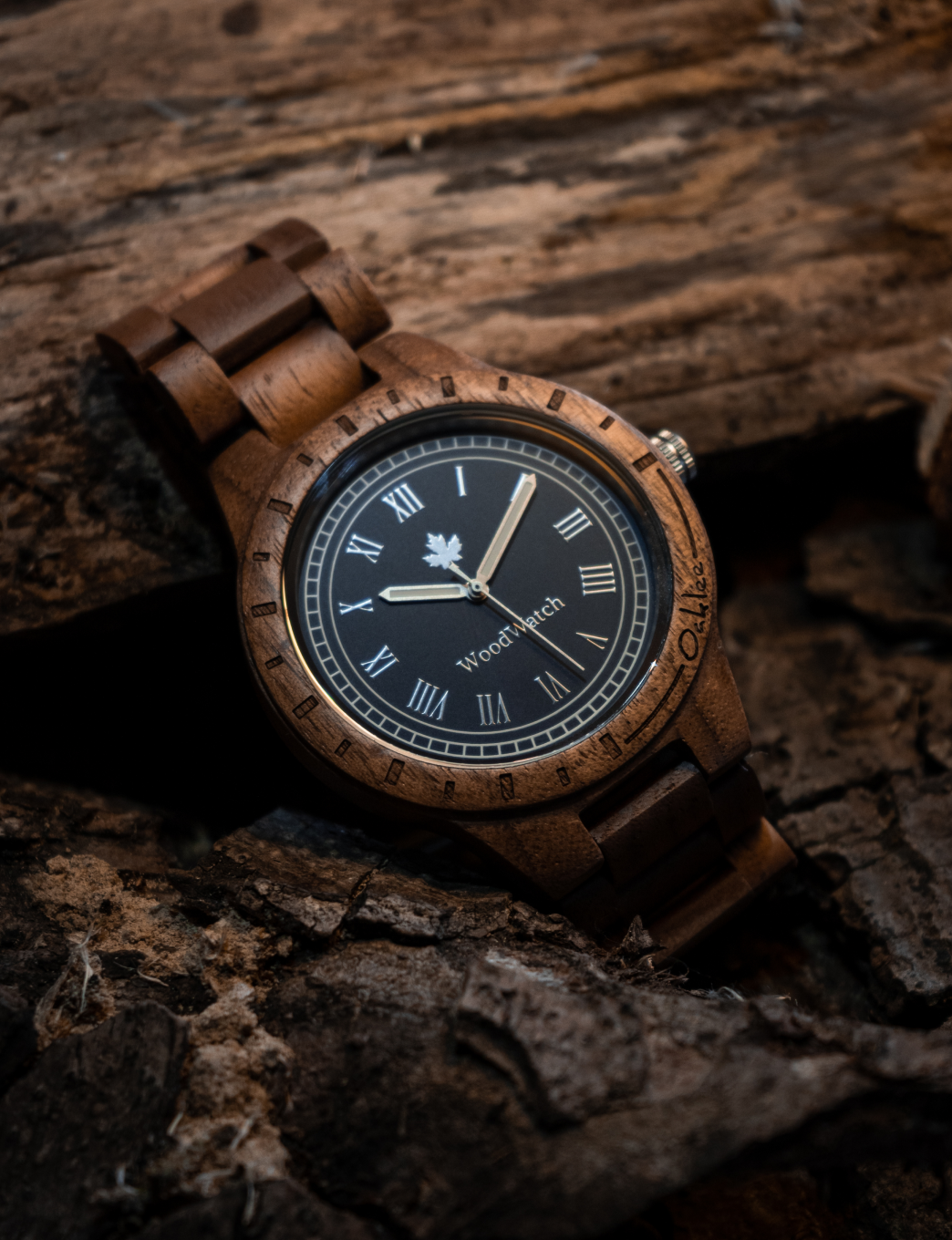 DIe Story von WoodWatch