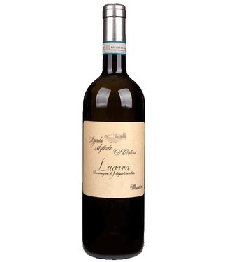 Zenato Santa Cristina Lugana Vigneto Massoni 2022