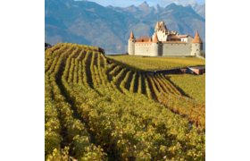 Château La Mission Haut-Brion