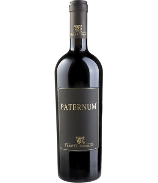 Tenuta Iuzzolini Paternum 2019 Tenuta Iuzzolini Paternum 2019