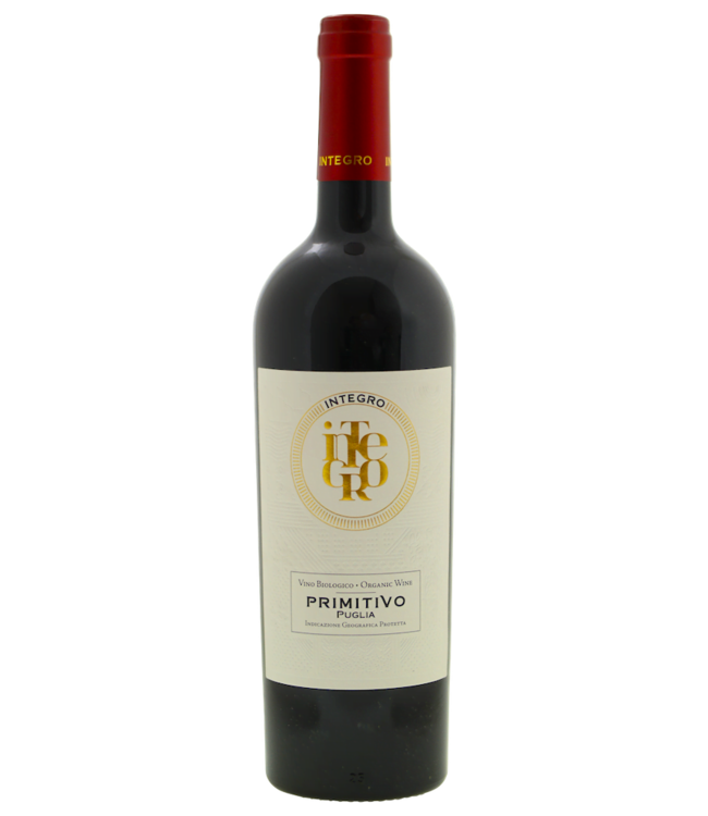 Integro Primitivo 2024