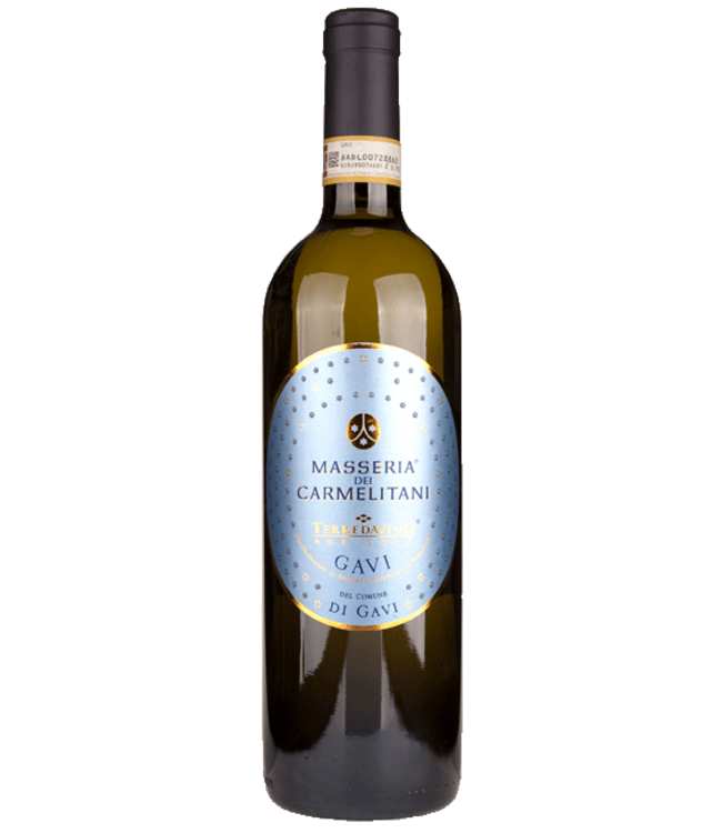 Vite Colte Gavi di Gavi Masseria dei Carmelitani 2024