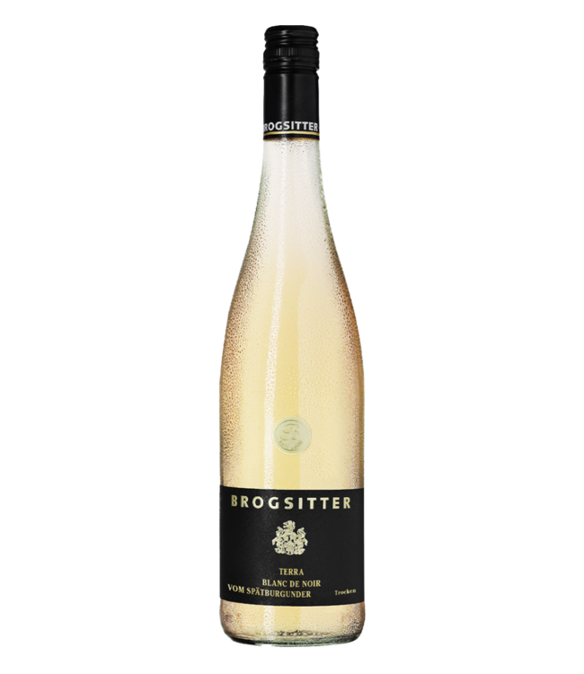 Brogsitter Weingüter Rheinhessen Terra Blanc Spätburgunder Blanc de Noir 2023