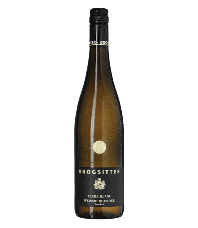 Brogsitter Weingüter Rheinhessen Terra Blanc Weissburgunder 2023
