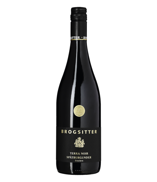 Brogsitter Weingüter Rheinhessen Terra Noir Spätburgunder Trocken 2023