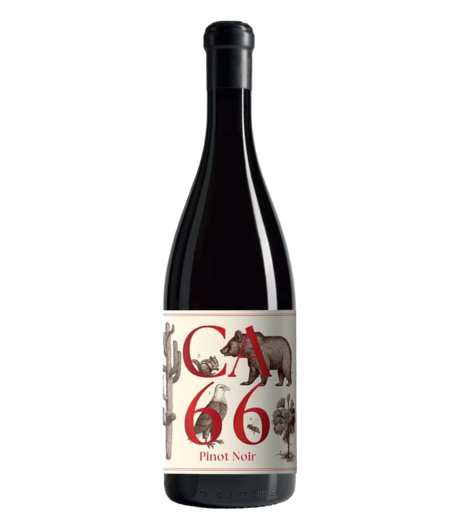 Weingut Hannes Sabathi Südsteiermark DAC CA 66 Pinot Noir 2023